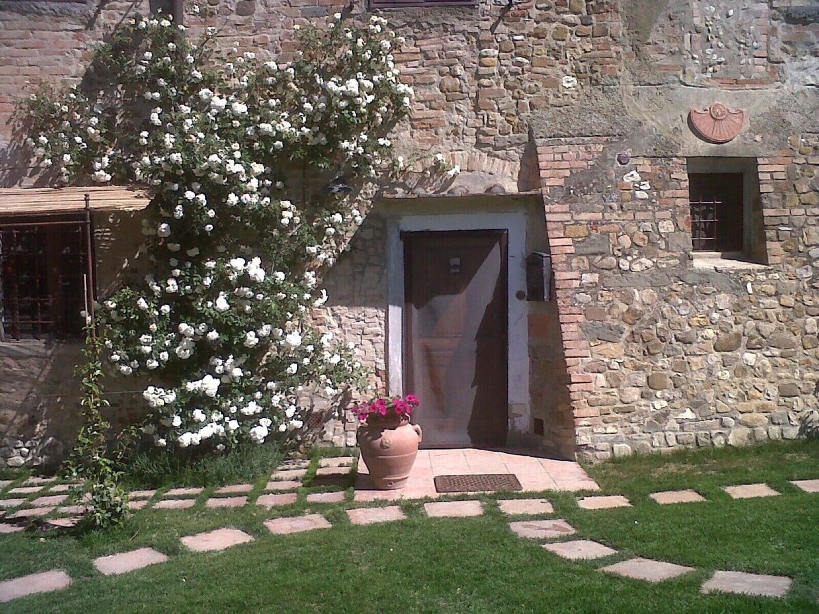 Rose sulla pietra