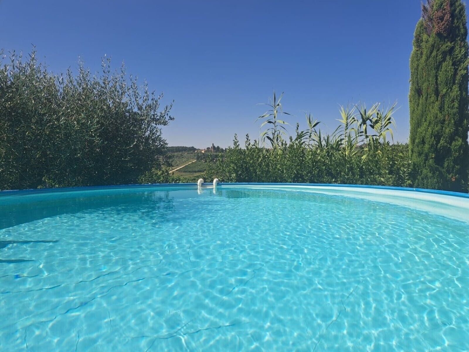 La piscina fra gli ulivi
